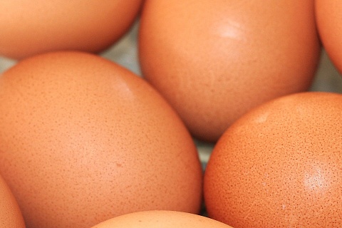 Всплеска спроса на яйца перед Пасхой не наблюдалось